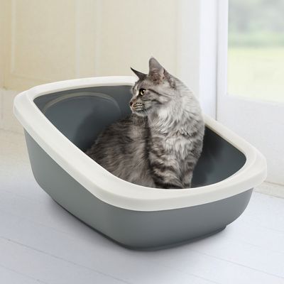 Savic Katzentoilette Aseo Jumbo mit hohem Rand