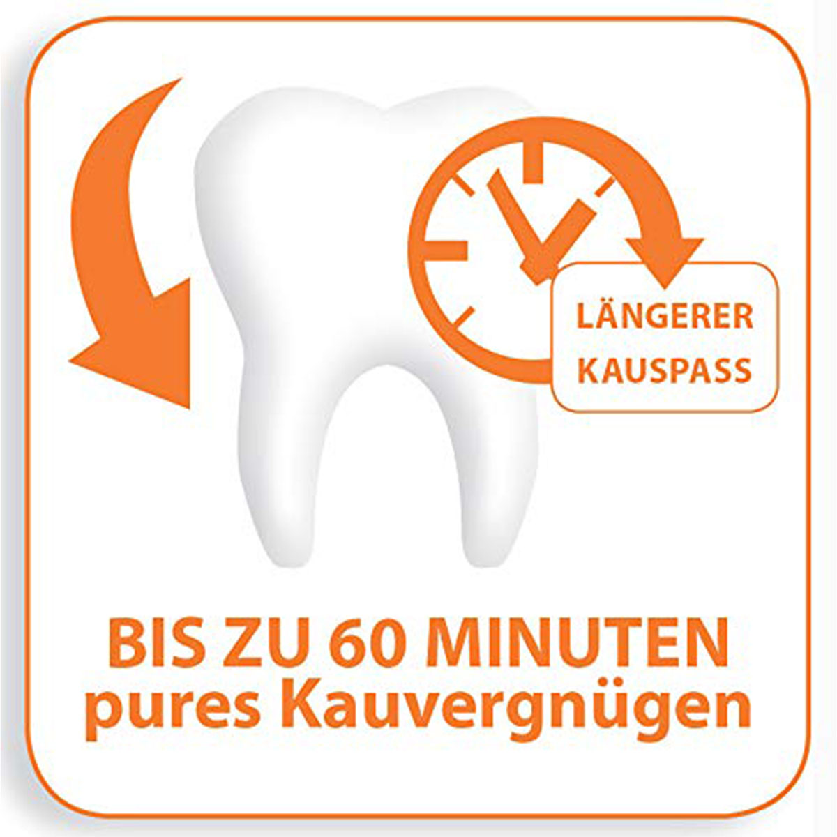 Gedrehte Kausticks mit Hähnchen & Schweinehaut für Kauspaß & Zahnpflege.