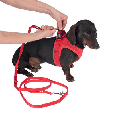TIAKI Geschirr Wave Vest, rot