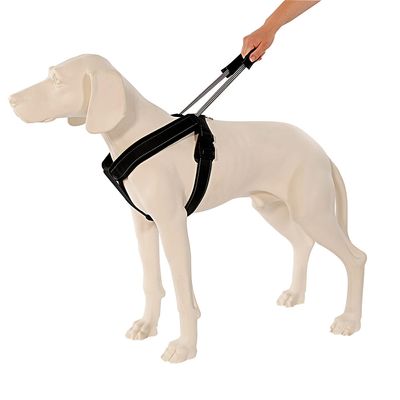PatentoPet® Sport Geschirr & Leine, schwarz