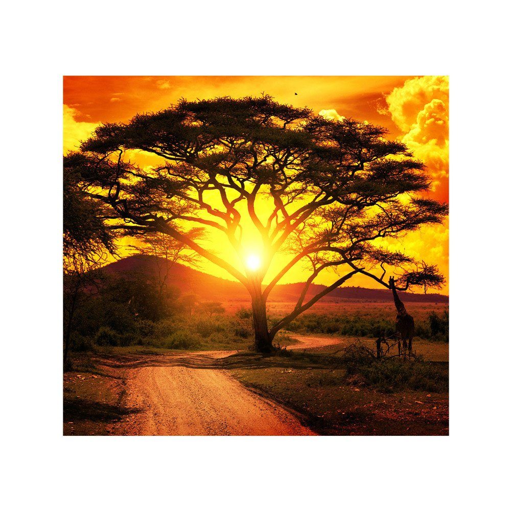 liwwing Fototapete Fototapete Sonnenuntergang Baum Giraffe Savanne Himmel Afrika liwwing no. 999, Afrika