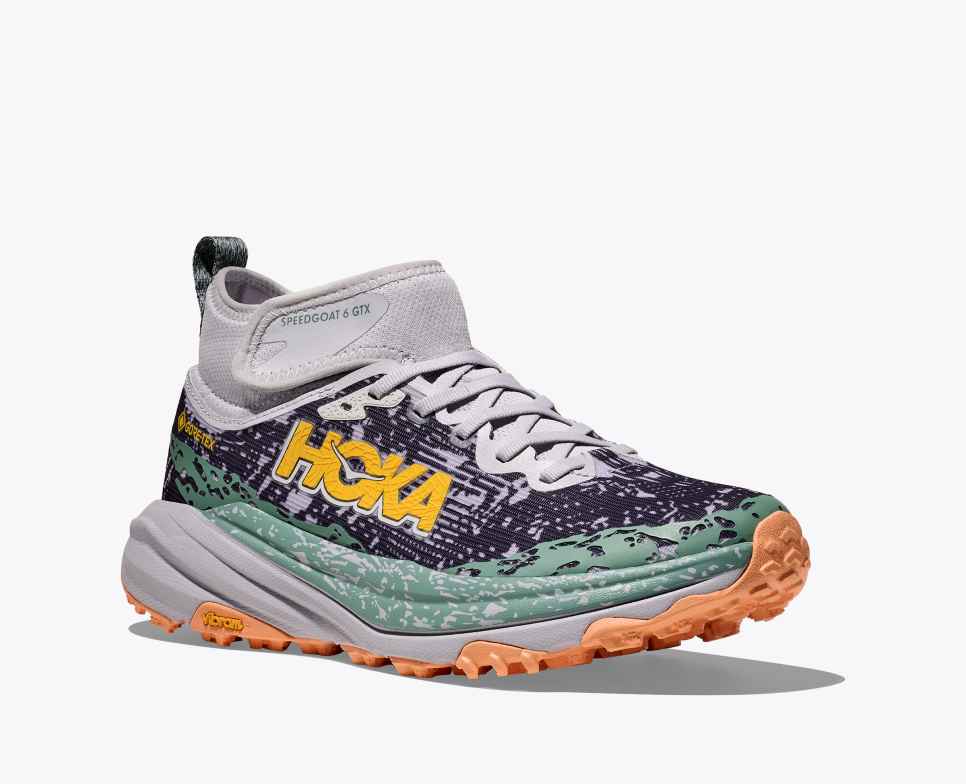 Speedgoat 6 middels GORE-TEX Ash Grey / Charcoal Grey