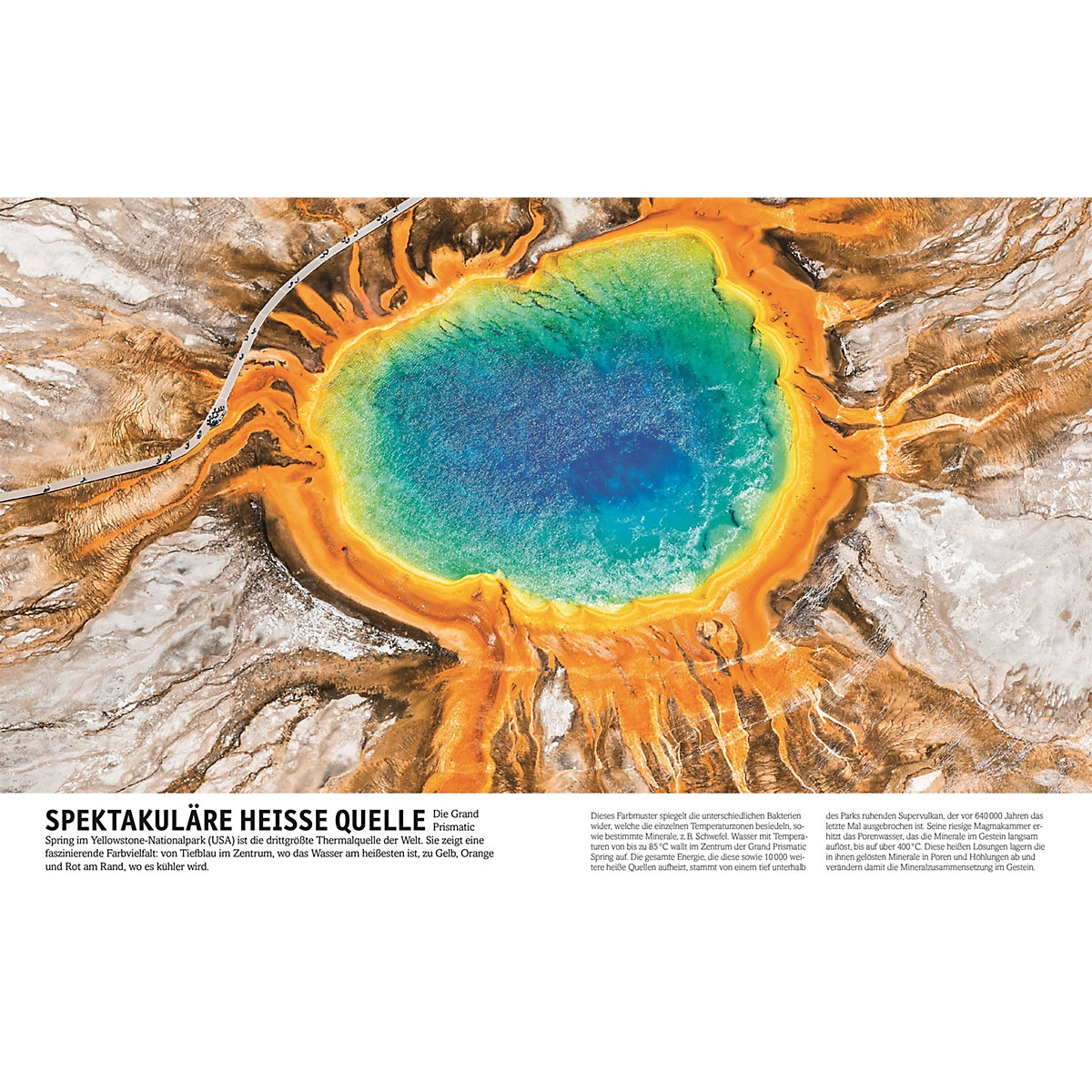 Steine: Minerale, Edelsteine und Fossilien in über 1000 Bildern