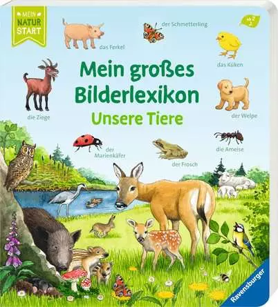 Mein großes Bilderlexikon: Unsere Tiere