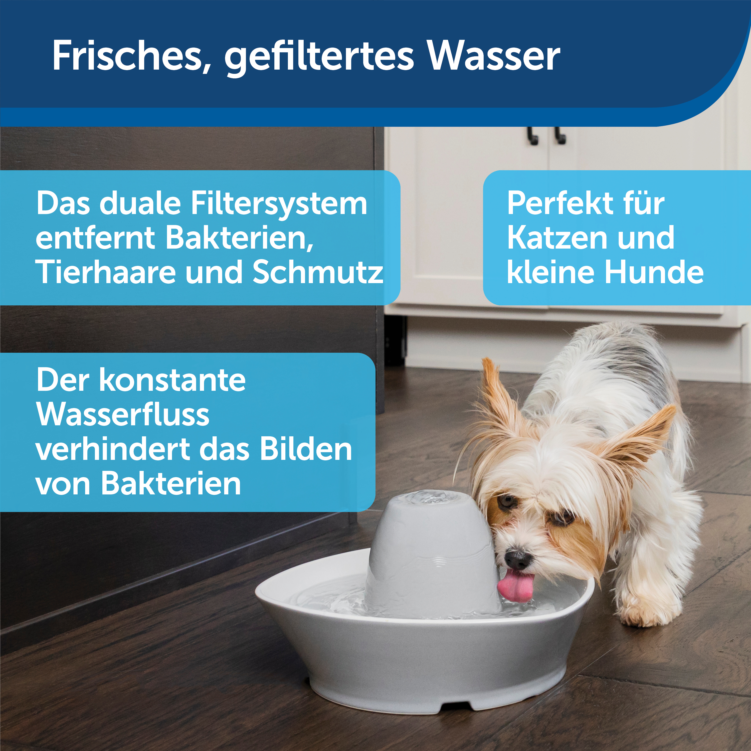 PetSafe Trinkbrunnen PetSafe Trinkbrunnen Streamside