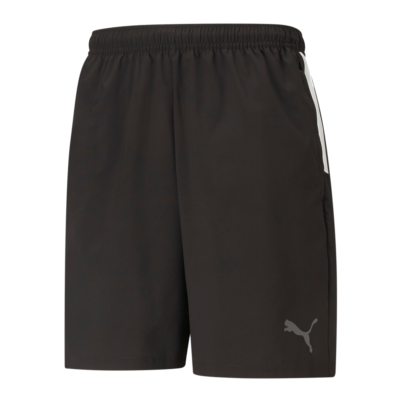 PUMA teamLIGA Sideline Shorts Schwarz F03