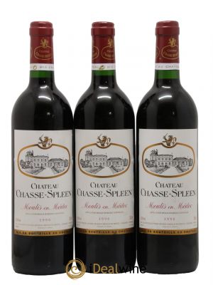 Château Chasse Spleen  1996 - Lot de 3 Bouteilles