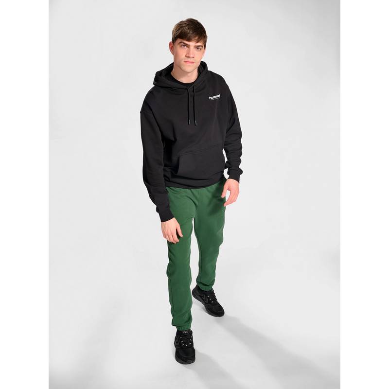 hummel hmlLGC NATE HOODIE Hoodie Herren