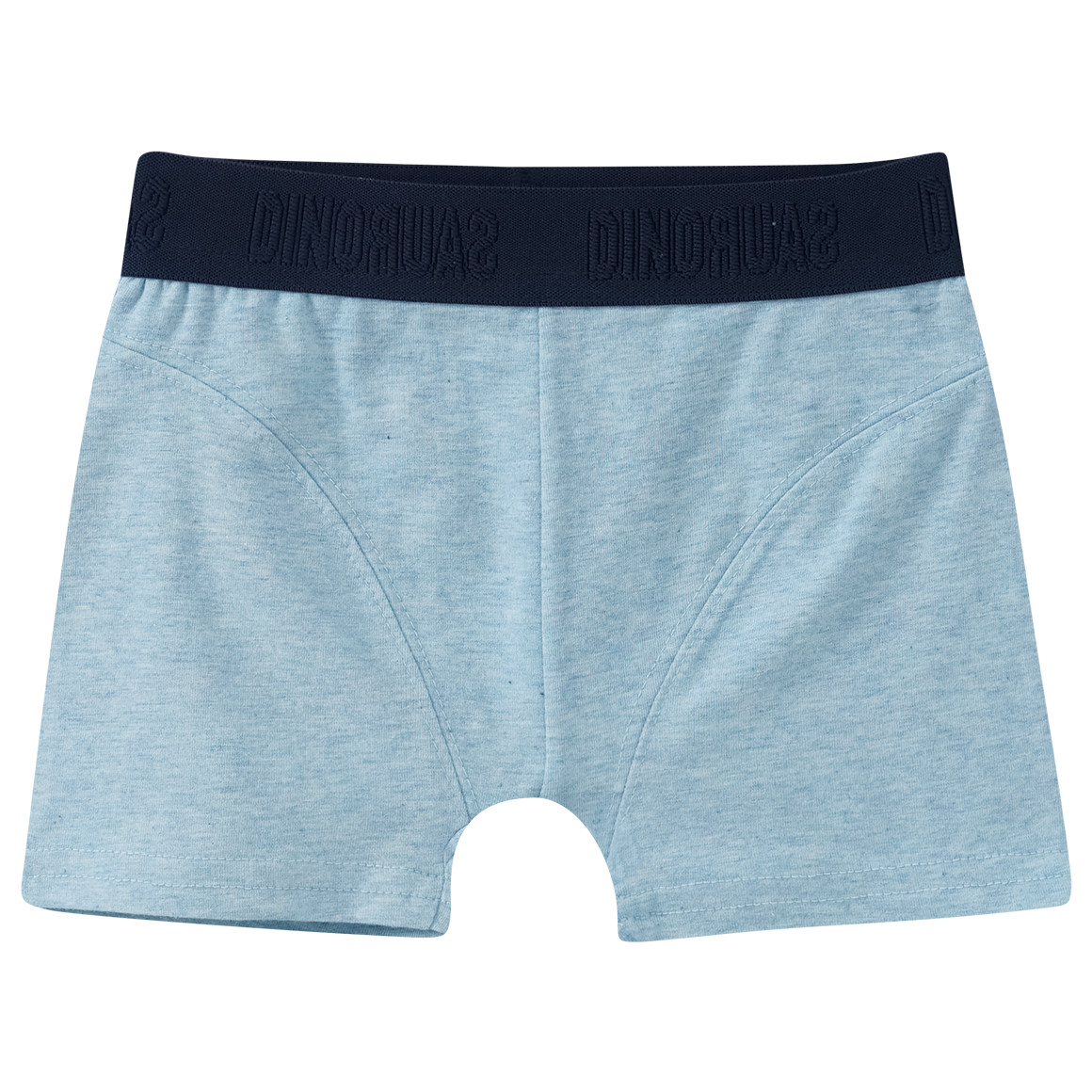 3 Jungen Boxer mit Webbund