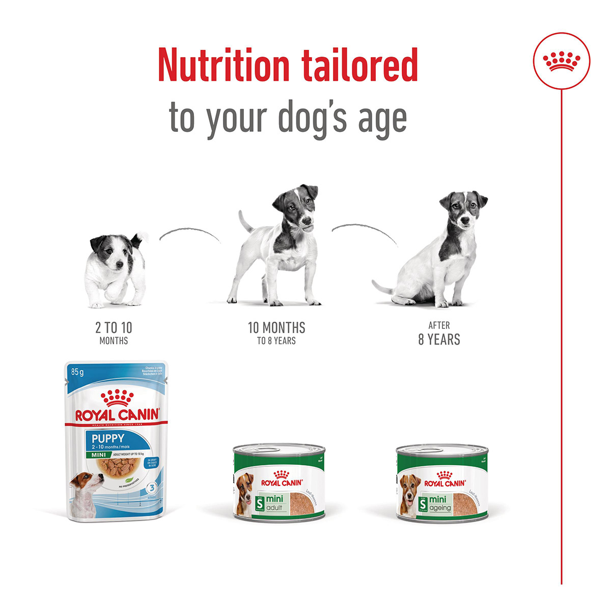 Royal Canin SHN Mini Ageing Loaf Can günstig kaufen bei ZooRoyal