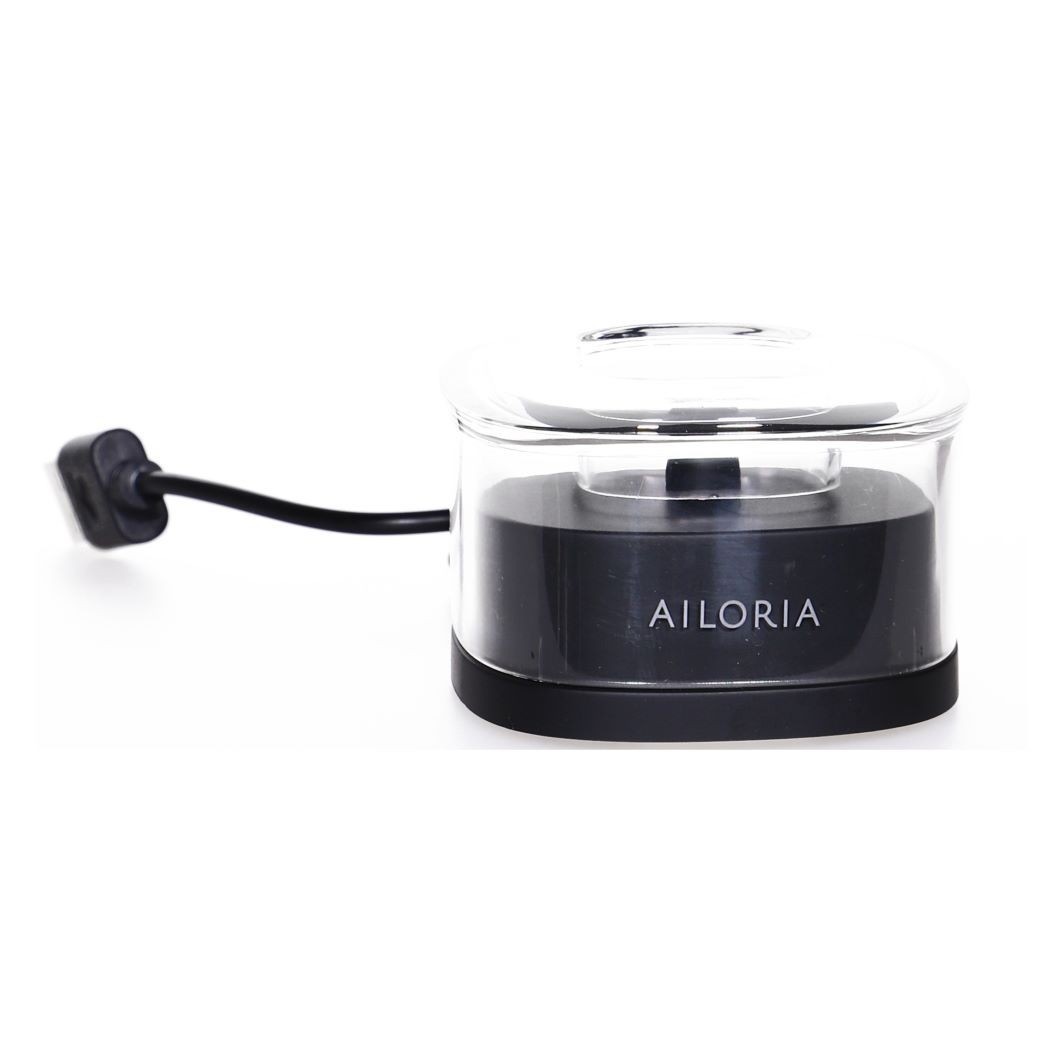 USB-Schallzahnbürste schwarz-silber inkl. 2 Bürstenköpfe & USB Power Plug