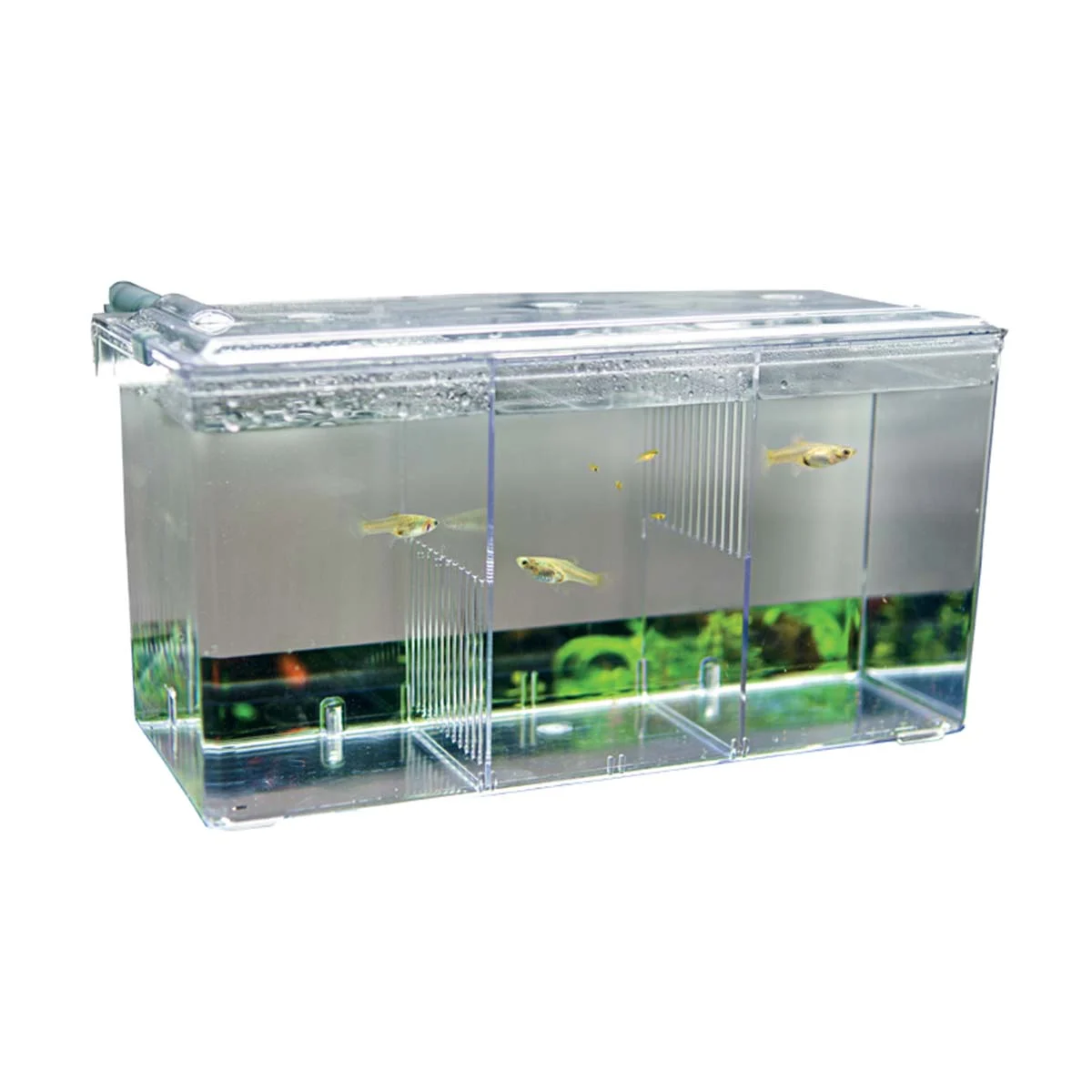 Hobby Ablaichbehälter Nido 5 26 x 14 x 13 cm kaufen
