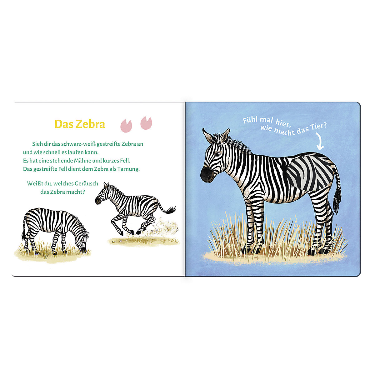 Sound- und Fühlbuch Tiere der Wildnis
