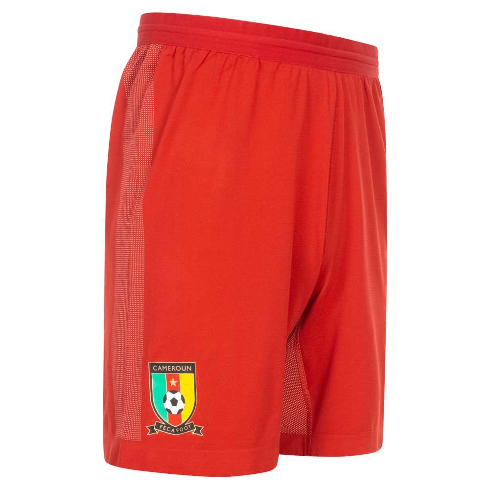 Kamerun PUMA Herren Training Shorts 752332-05