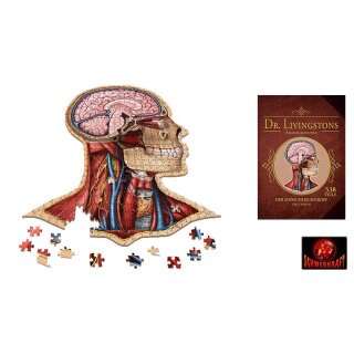 Dr. Livingstons Anatomiepuzzle: Der menschliche Kopf Teil 1 (DE) *Mängelexemplar*