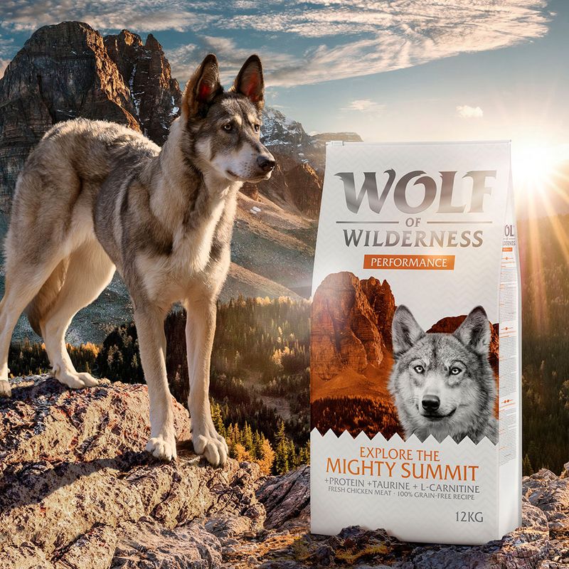 Sparpaket Wolf of Wilderness 'Explore' 2 x 12 kg