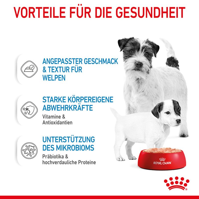 Royal Canin Starter Mother & Babydog Ultra Soft Mousse