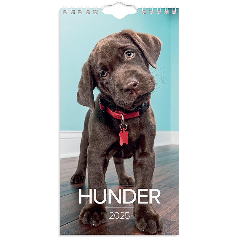 Veggkalender hunder mini 2025