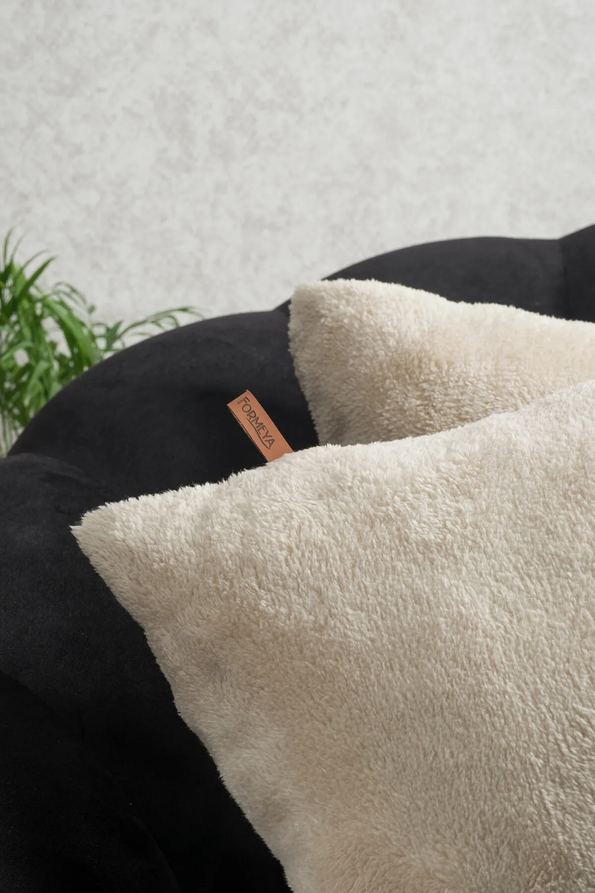 Formeya  Doppelseitiger Wellsoft-Stoff, 2-teilig, 55 x 55 cm, als Geschenk, dekorativer Plüsch-Kissenbezug
