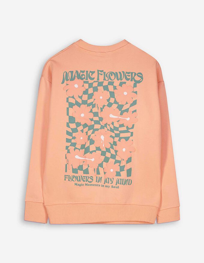 Sweatshirt - Rückenprint