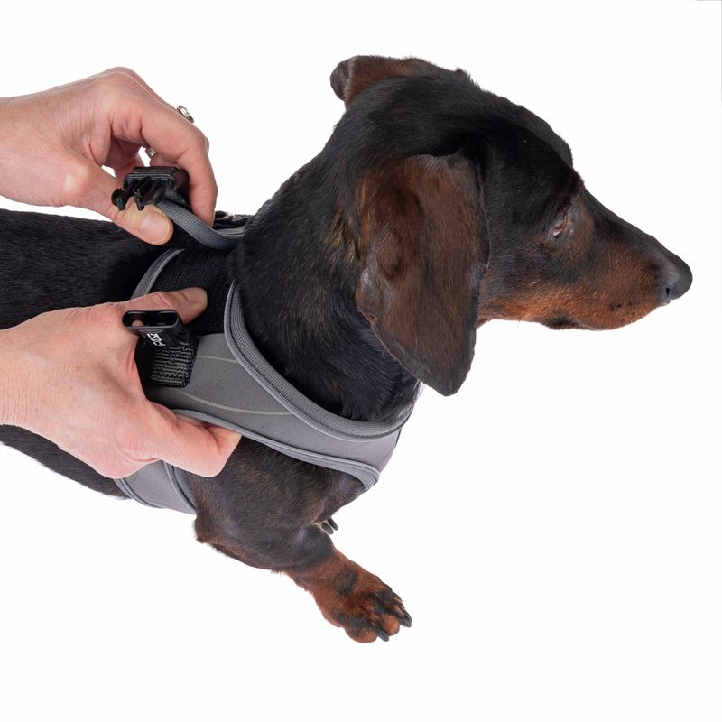 TIAKI Geschirr Wave Vest, anthrazit zu TOP-Preisen
