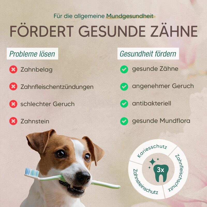 Pawlie's Zahnpflege Pawlie's Zahnpflege Zahncreme