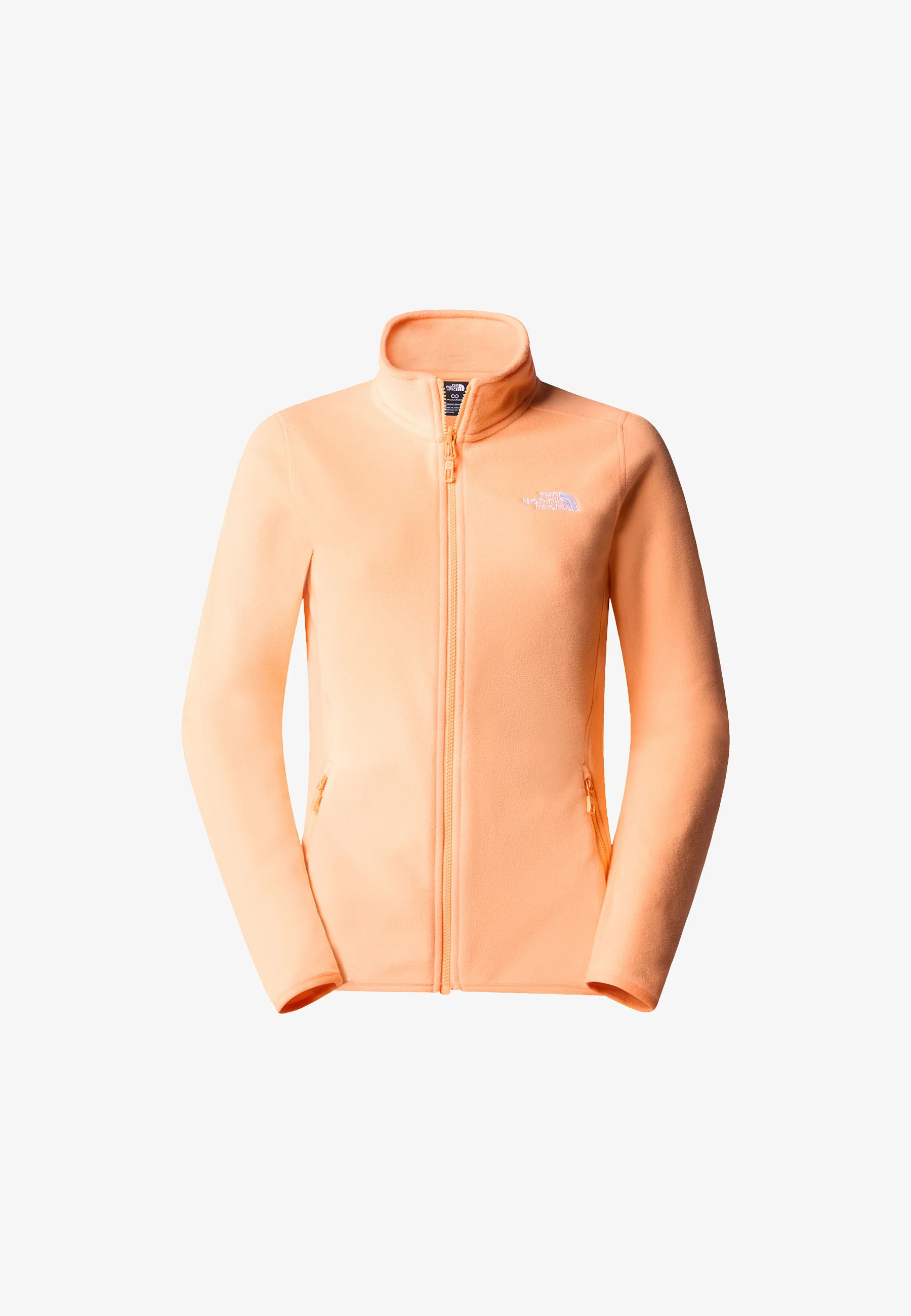 The North Face 100 GLACIER - Chaqueta polar