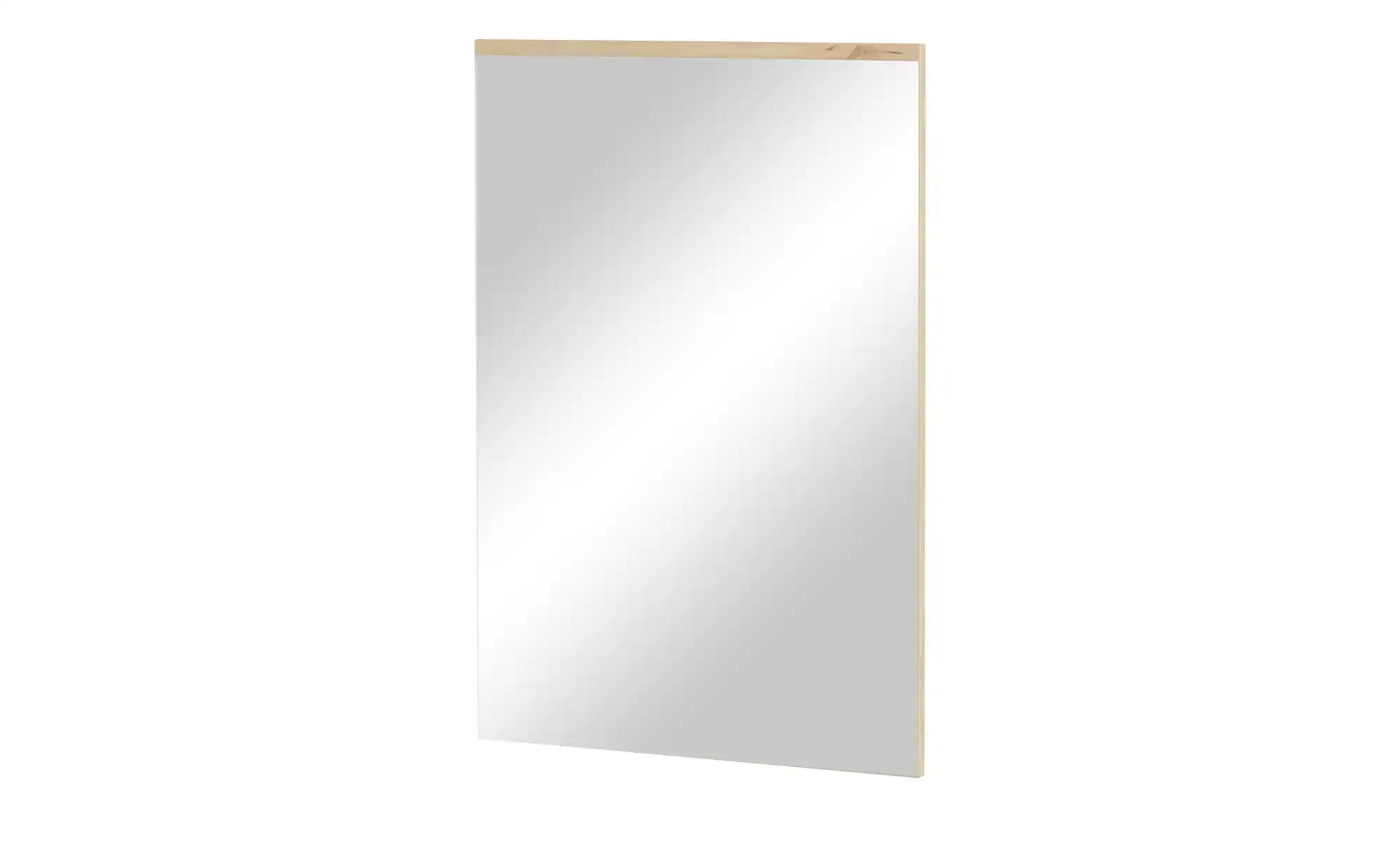 Spiegel 60 x 89 cm