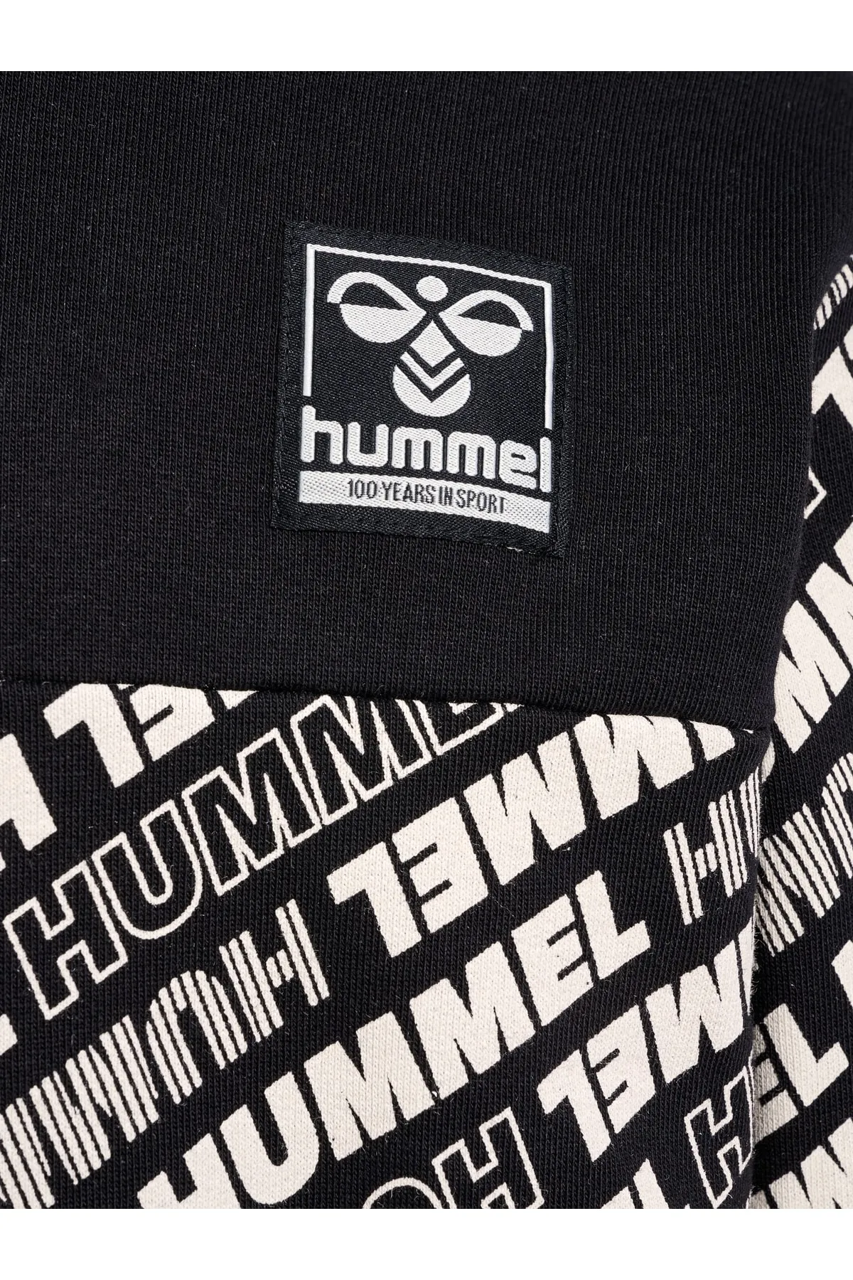 hummel  hmlCAMERON HOODIE