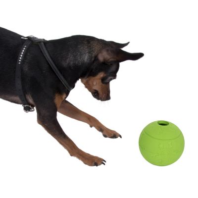 Hundespielzeug Snackball