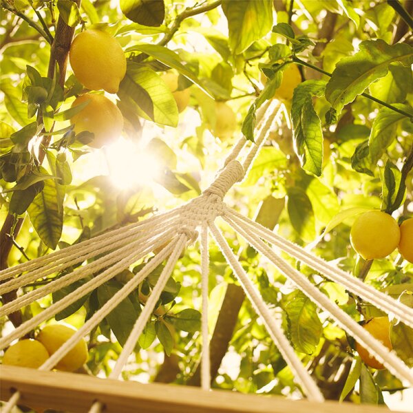 Maison Margiela Replica Under the Lemon Trees Eau de Toilette
