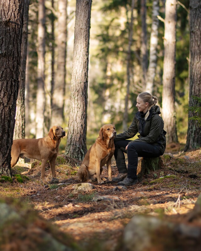 Pinewood Damen Jacke Dog Sports 2.0