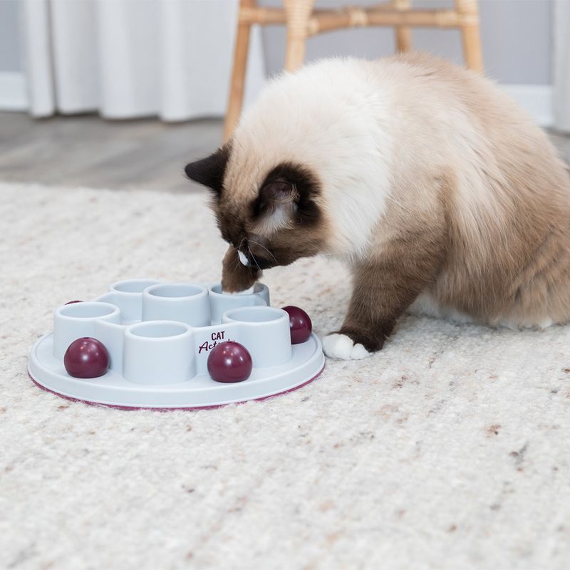Trixie Cat Activity Pentagon zu TOP-Preisen