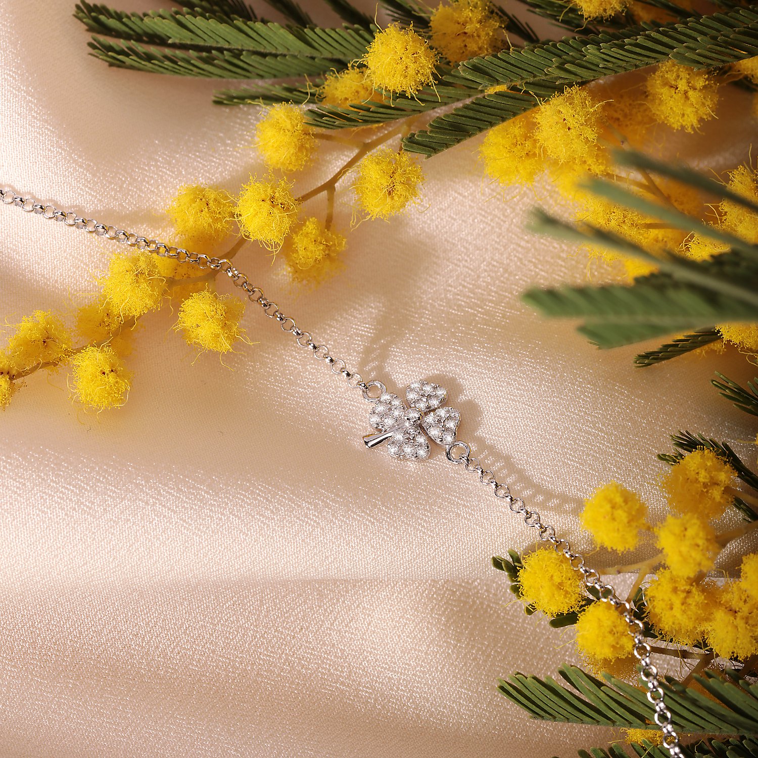 Braccialetti di Cristo