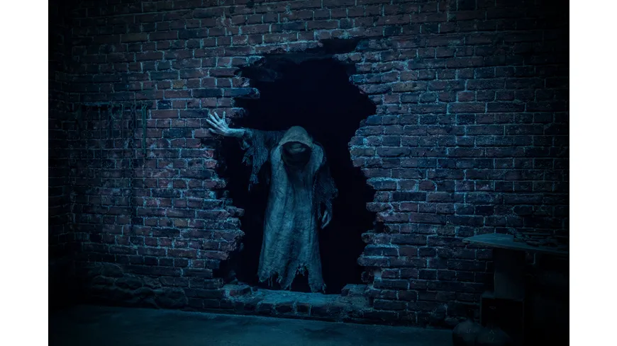 Baghead
