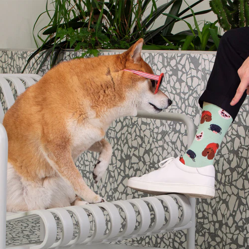 The Croquette's white socks