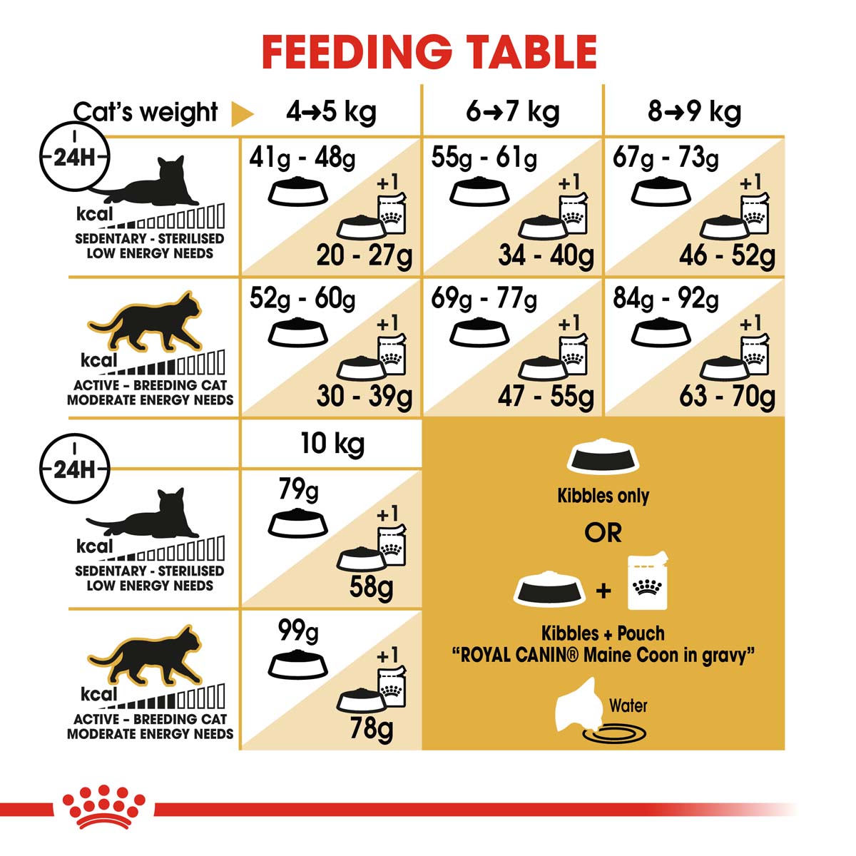 ROYAL CANIN ADULT Maine Coon 10kg + Nassfutter in Soße 48x85g