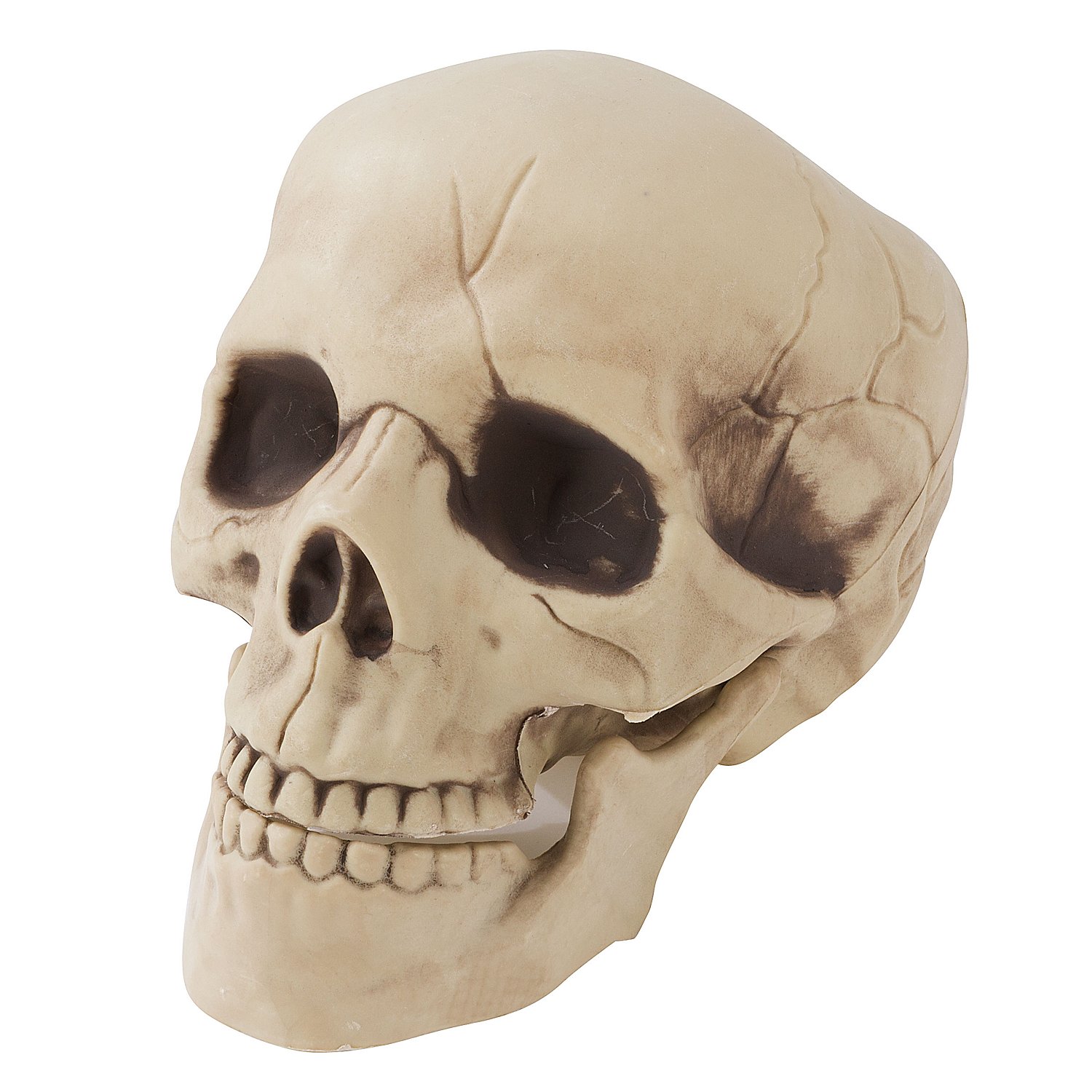 Totenkopf, beige, 21 cm