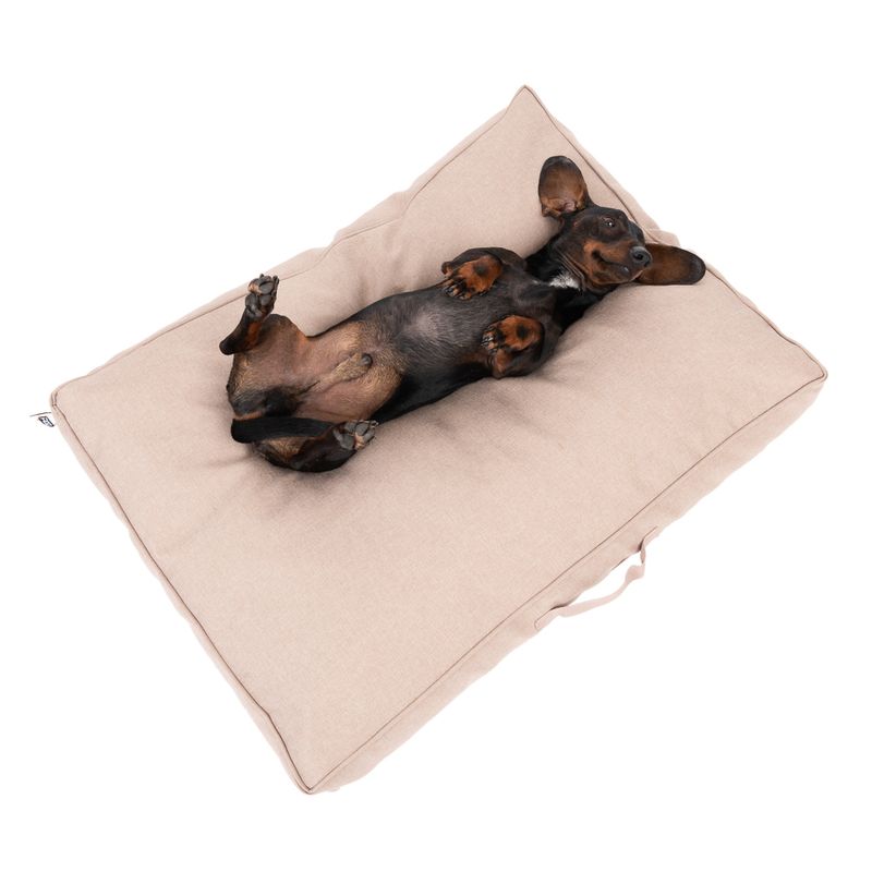 TIAKI Hundematratze Memory Foam, beige zu TOP-Preisen | bitiba %