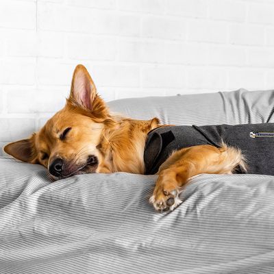 ThunderShirt® Beruhigungsweste, grau