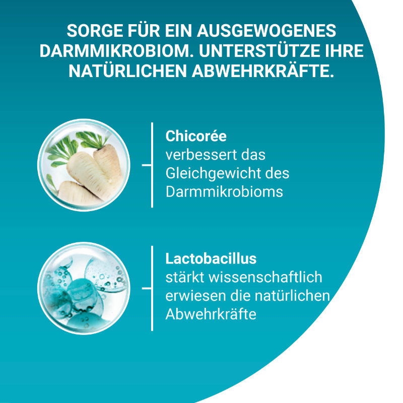 Purina ONE Trockenfutter Purina ONE BIFENSIS Indoor Formula für Hauskatzen 750 g
