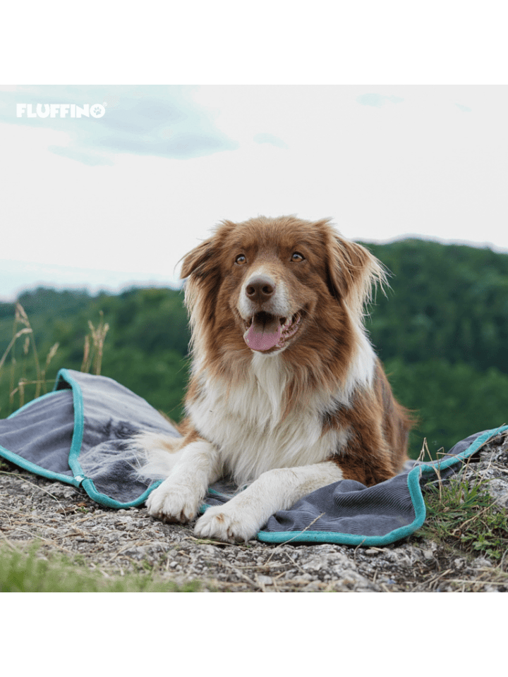 FLUFFINO Hundedecke/ Wendedecke / Kuscheldecke - 150x100 cm - Grau günstig kaufen onesize