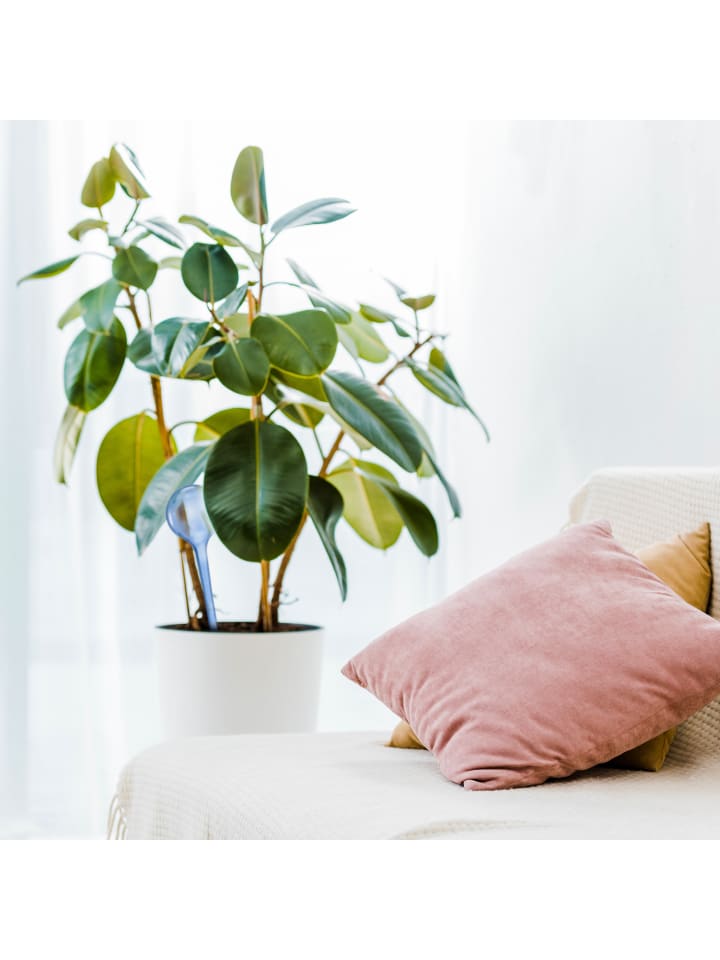 relaxdays 6x Bewässerungskugel in Blau günstig kaufen onesize