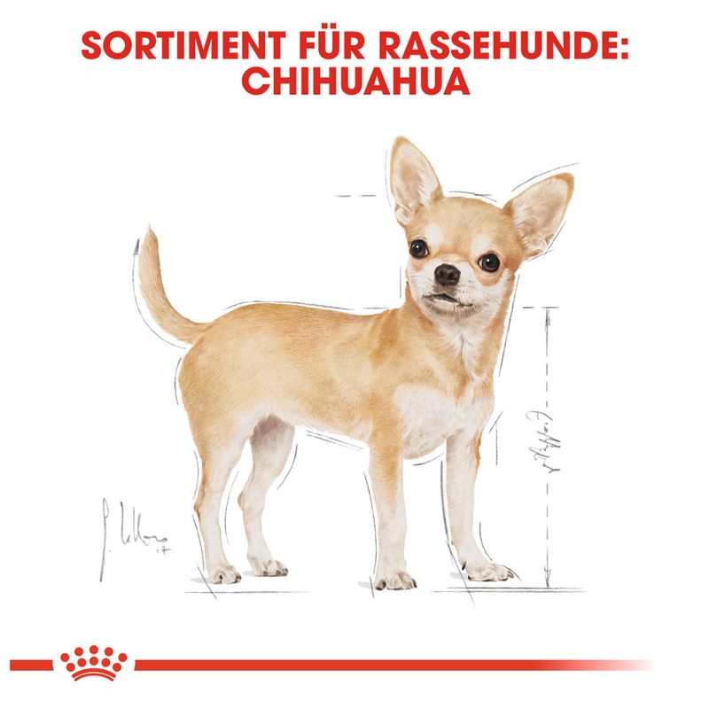 Royal Canin Chihuahua Adult zu TOP-Preisen