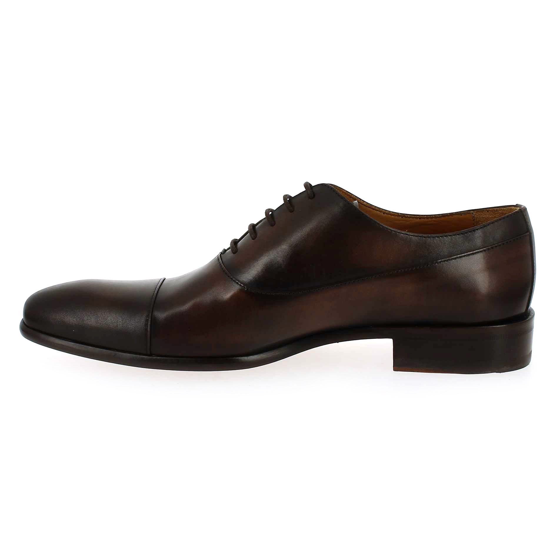 Paco Milan  3666 145 - Marron