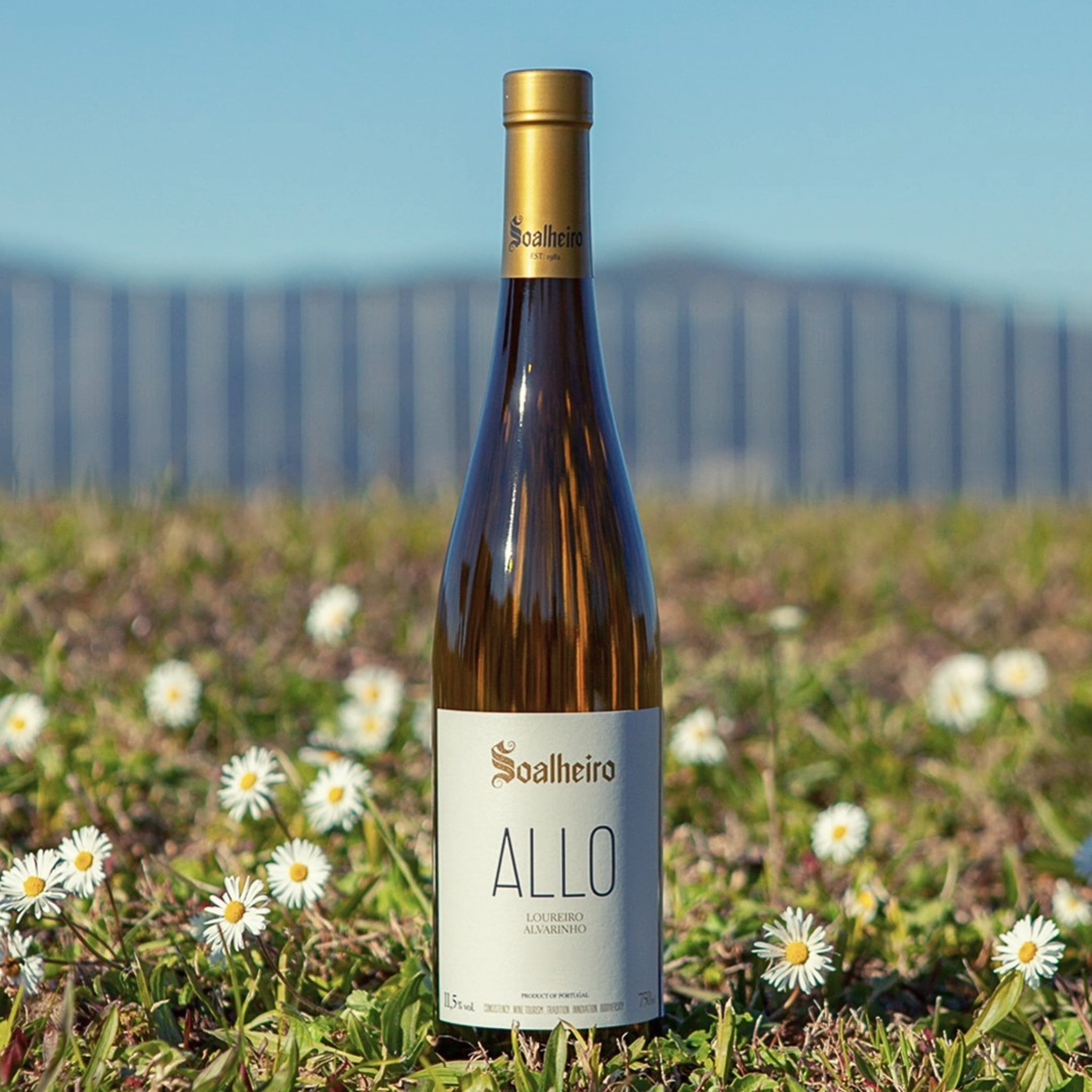 SOALHEIRO ALLO – ALVARINHO & LOUREIRO 2022