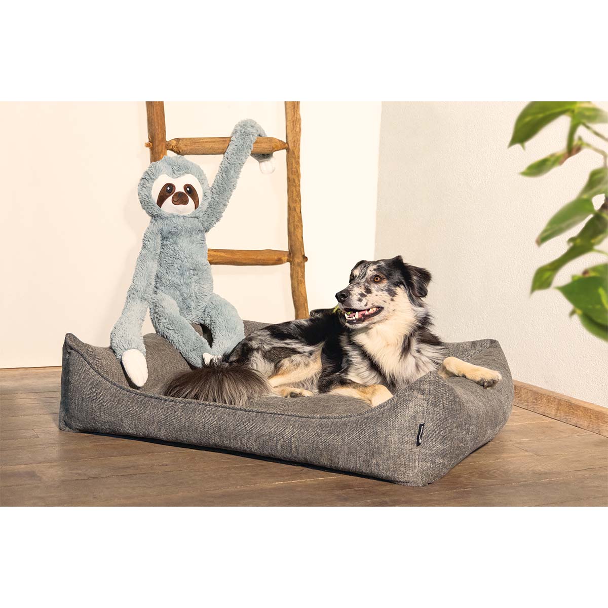 Beeztees XL Hundespielzeug plüsch Faultier Mees grau bei ZooRoyal