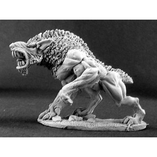 Moor Hound (REA02817)