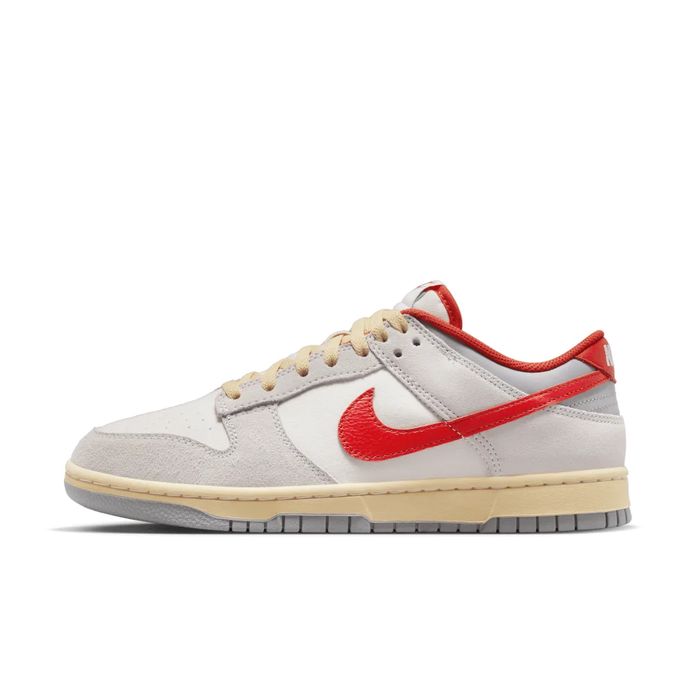 Nike Dunk Low FJ5429-133 / grau
