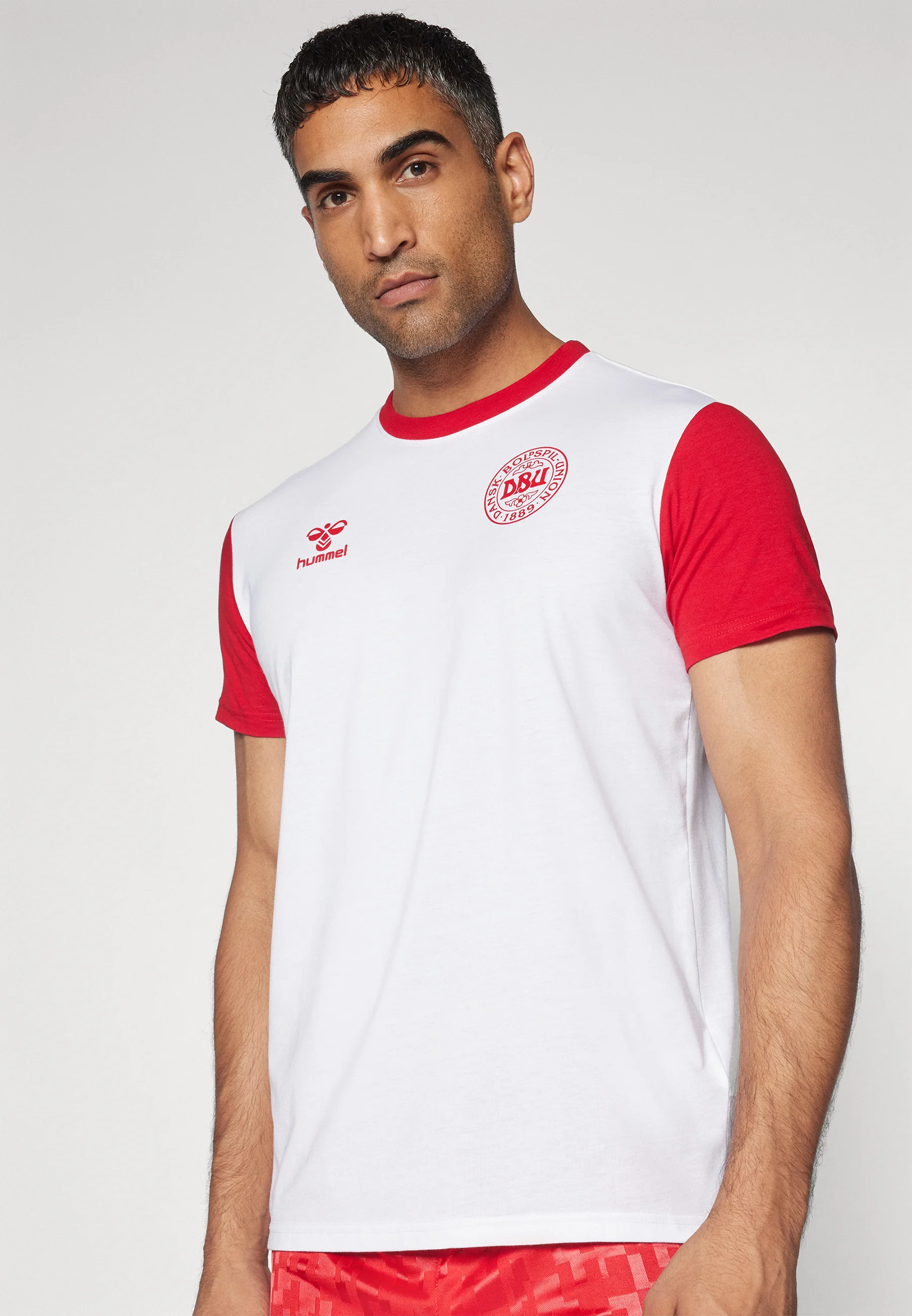 Hummel DENMARK FAN BLOCK TEE - Camiseta con estampado